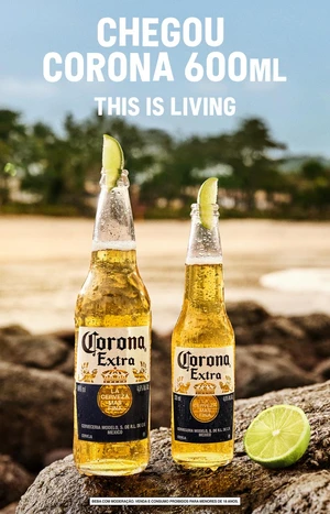 CORONA LN 355ML