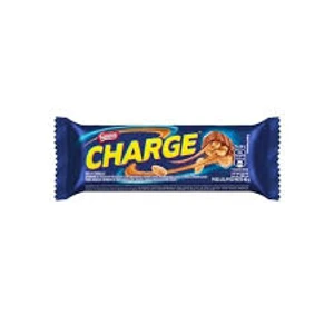 CHARGE