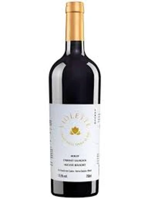 VINHO PIZZATO VIOLETTE 750ML